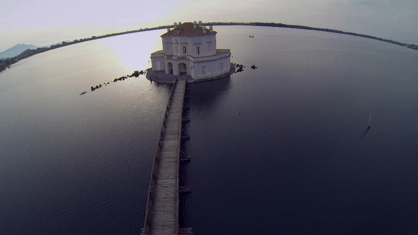 owl-carousel-video-image