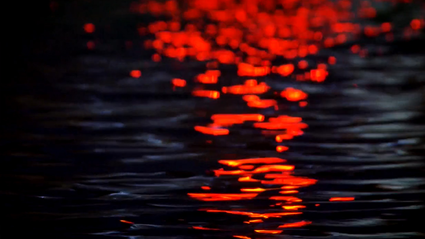 owl-carousel-video-image