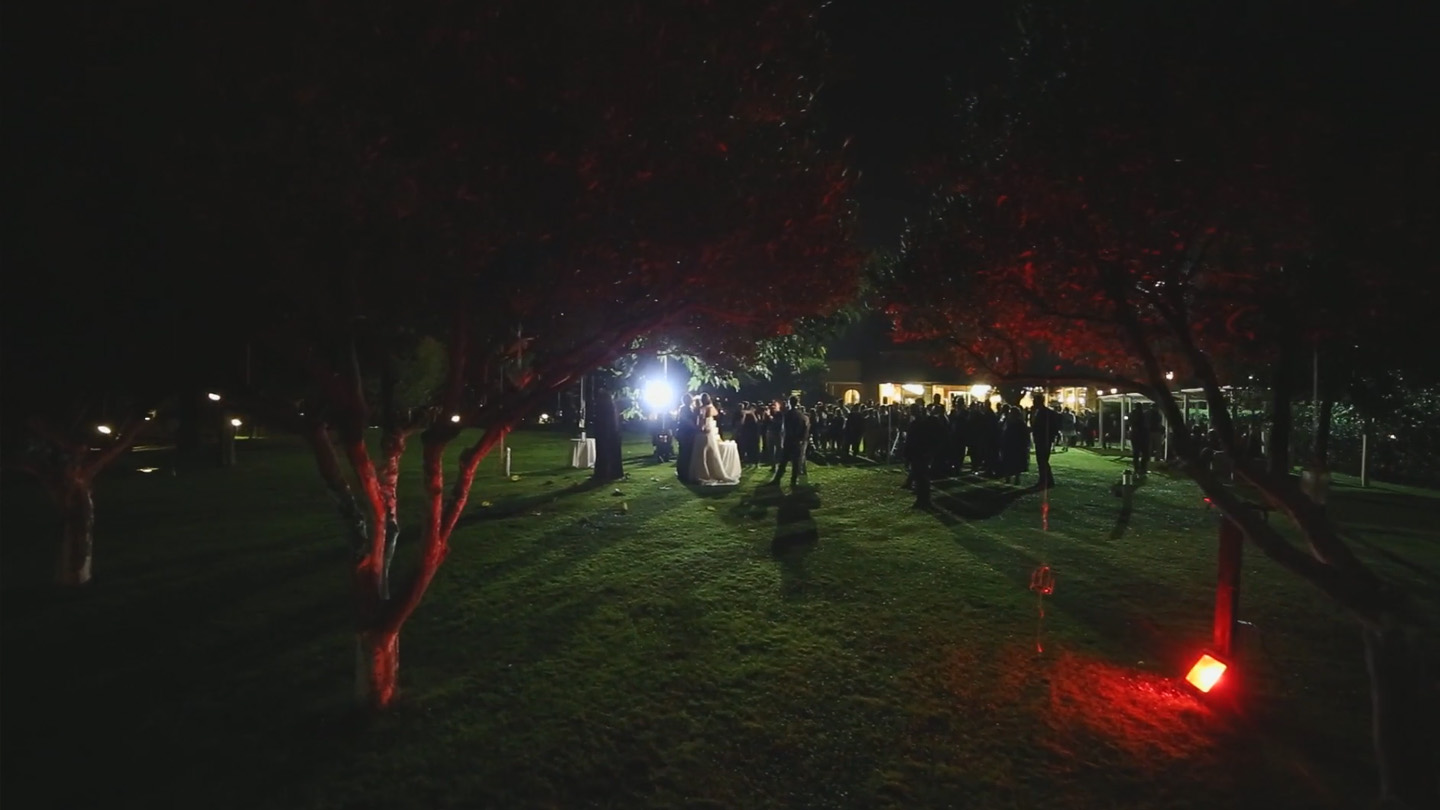 owl-carousel-video-image